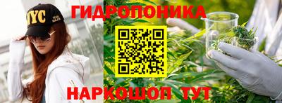 ГАЛЛЮЦИНОГЕННЫЕ ГРИБЫ Моздок